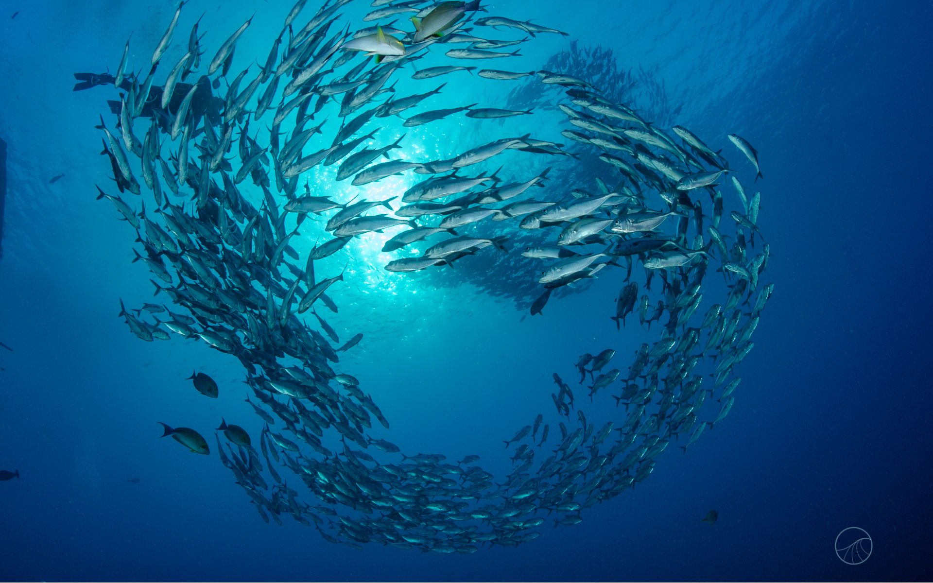 Leiderschap in een fase van versnelde verandering